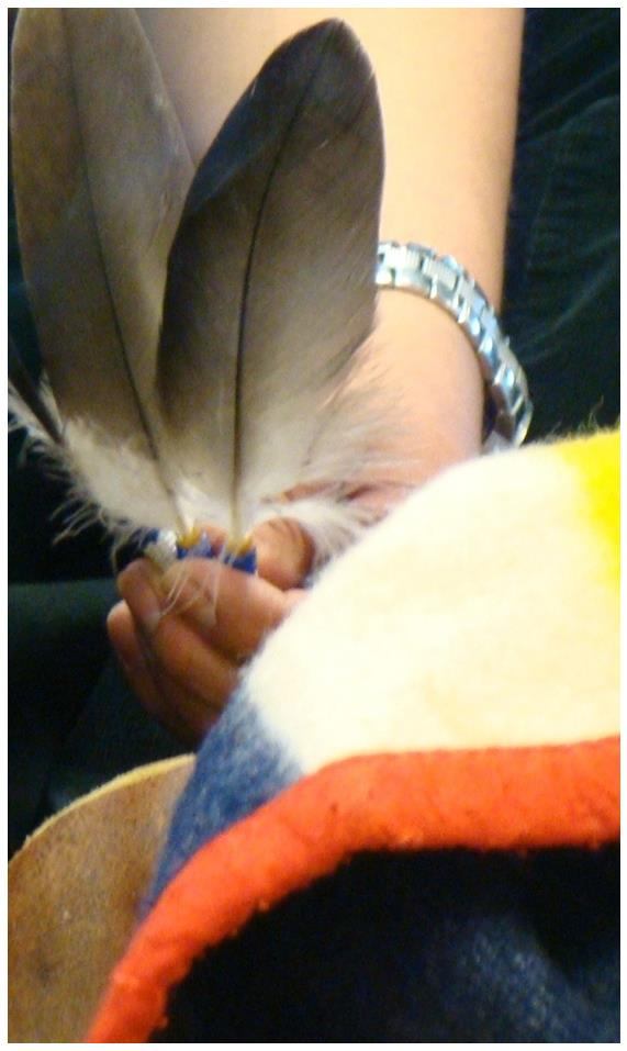 FNMI2