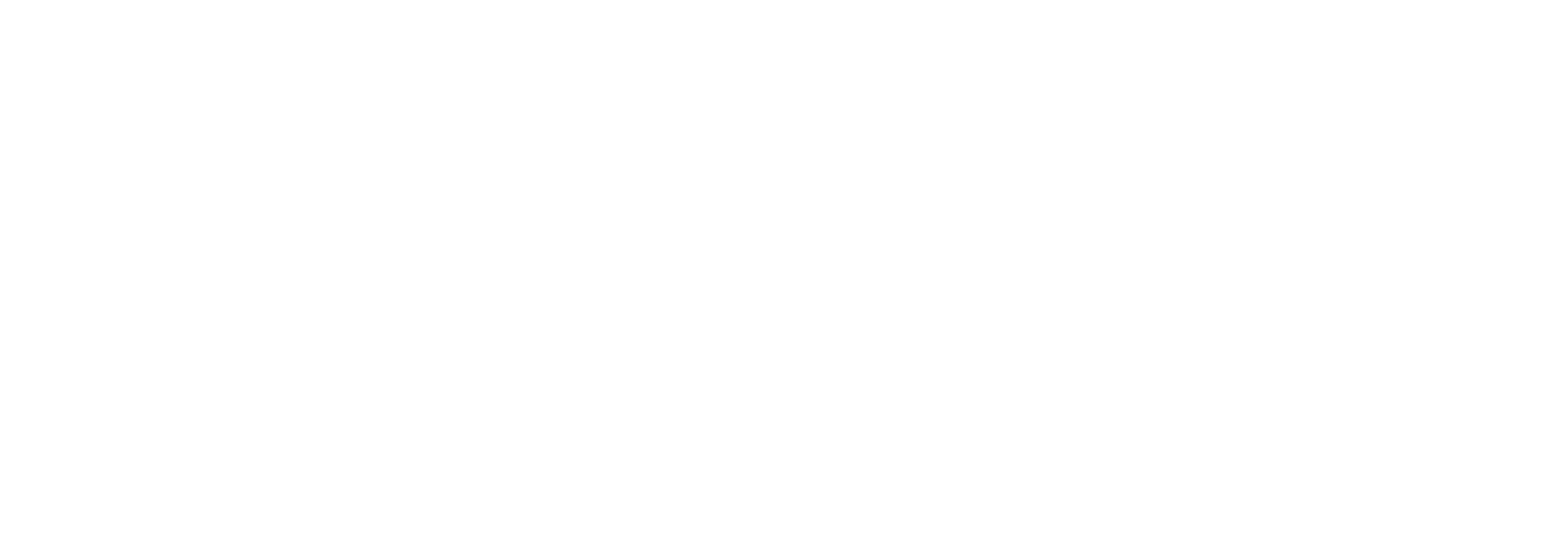 Strategic Priorities